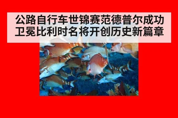 公路自行车世锦赛范德普尔成功卫冕比利时名将开创历史新篇章